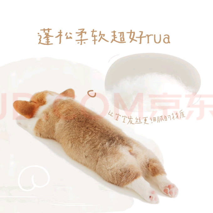 好奇拉拉裤