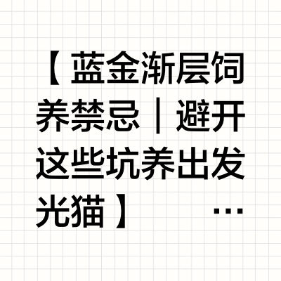 全网最全！蓝金渐层品相大揭秘/饲养大全