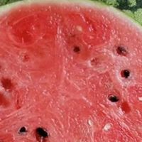 夏天，吃西瓜了