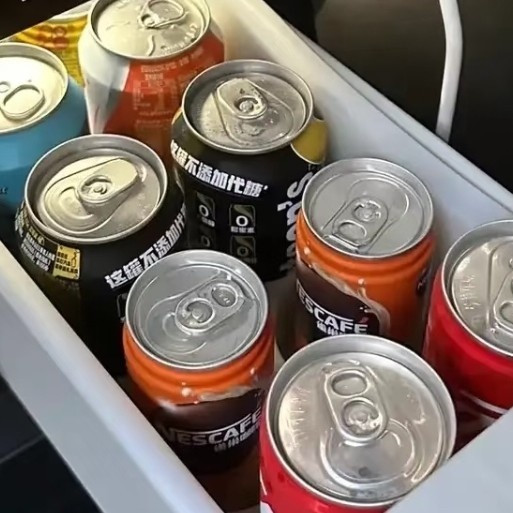 车载冰箱：制冷慢、占空间，这钱花得值吗？