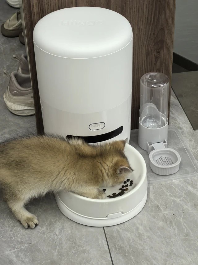 higge喂食器