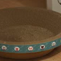 疯狂的主人猫抓板窝：铲屎官的宝藏好物分享