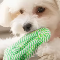 618 宝藏好物：HELLOJOY 狗狗玩具棉绳球套装