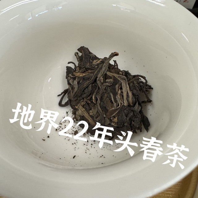 地界普洱茶，22年头春料，冰岛五寨中的甜柔佳品