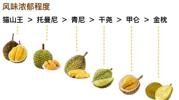 全网最全🔥，各种榴莲口味