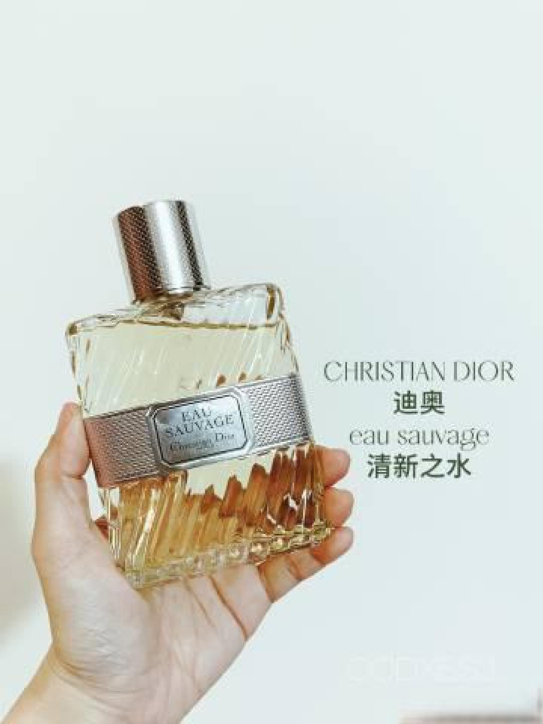 白衬衫与香水的嗅觉密码：解码记忆中的干净与温度