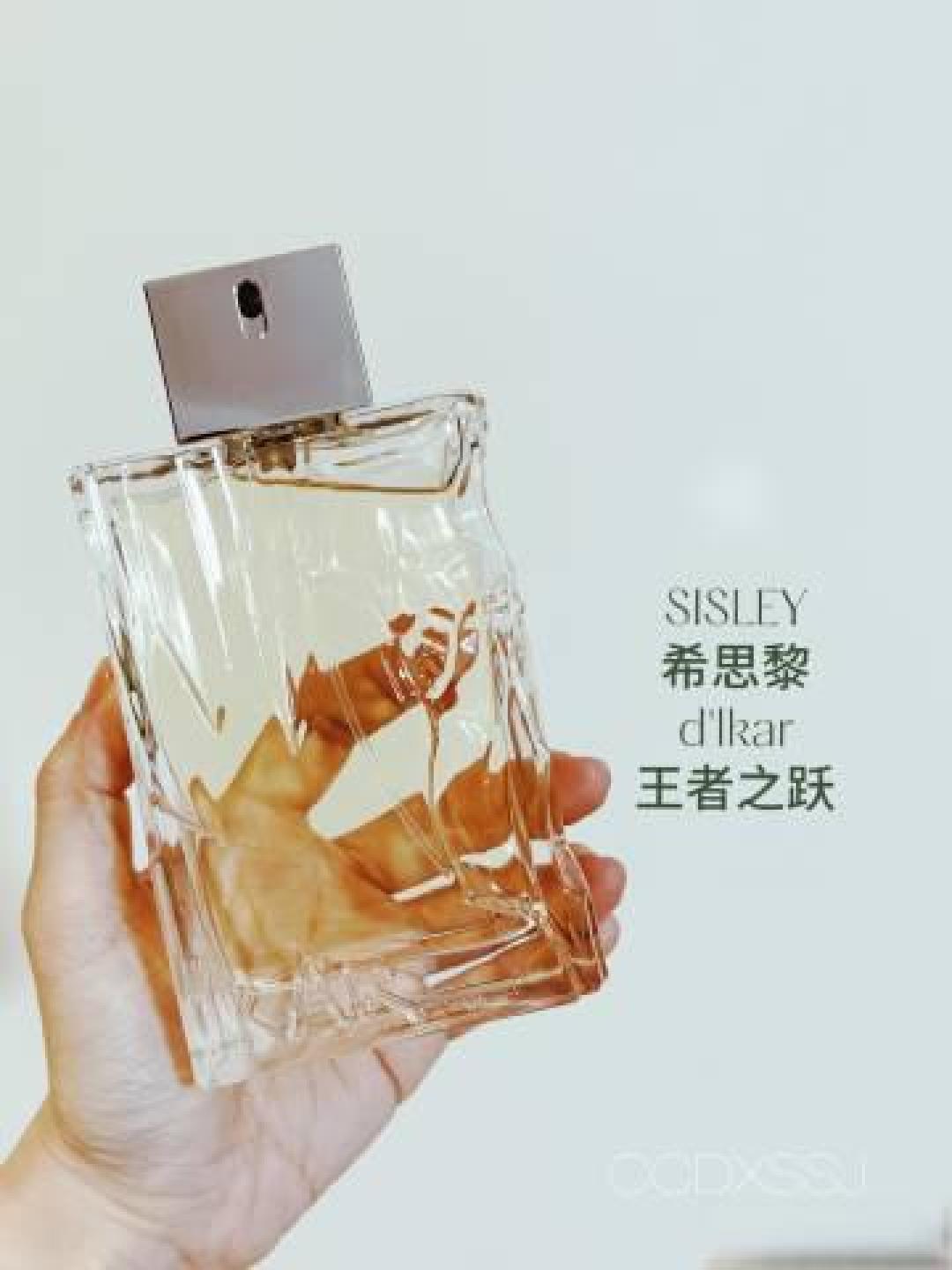 白衬衫与香水的嗅觉密码：解码记忆中的干净与温度