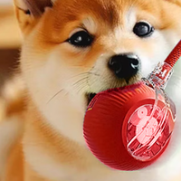 618 宝藏好物！HELLOJOY 狗狗玩具解放双手超省心