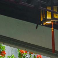 低调全能王？蛇圣陨石C2深度评测