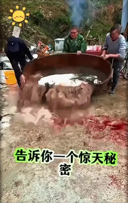 #居家锻炼 #锻炼身体增强体质 #动一动更健康