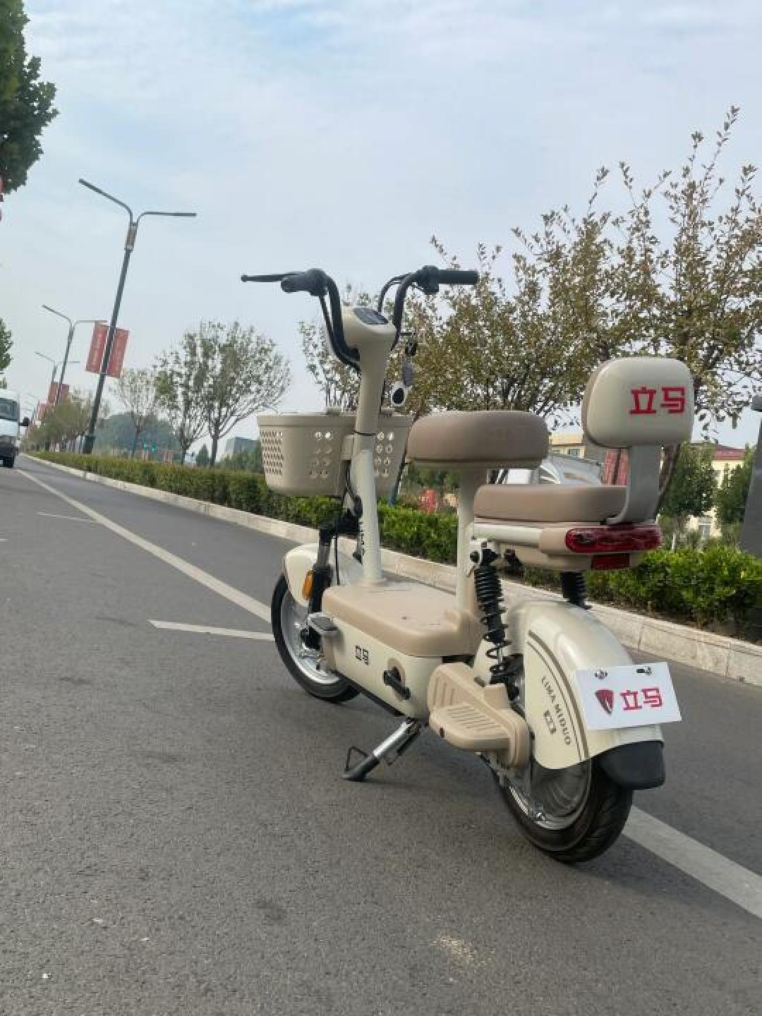 实测续航200公里+硬核动力！立马电动车技术升级与北方用户复购率解析