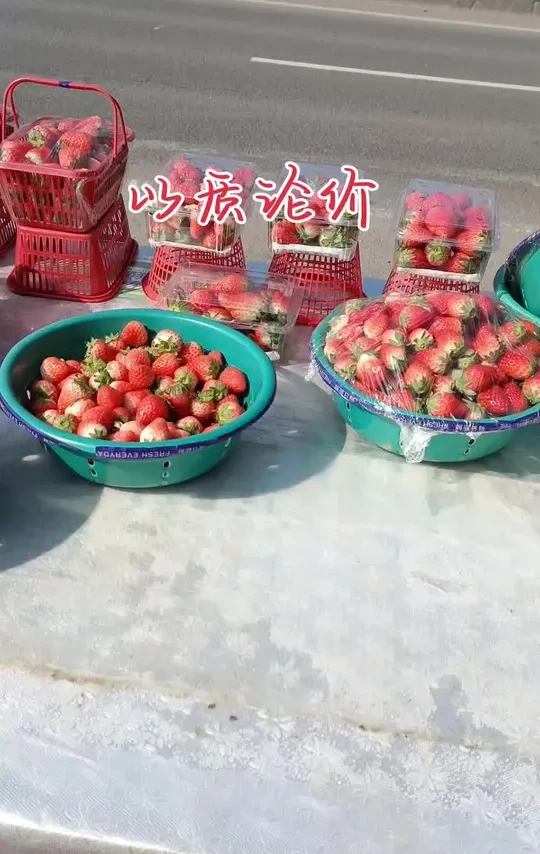 大小 品种不一样价格也就不一样 下车看看 尝尝 放心 没人抢你方向盘 丢不了 价格不合适你可以讲价啊 你砍嘛 哪怕不赚钱 咱不图这回图下回#摆摊我是认真的