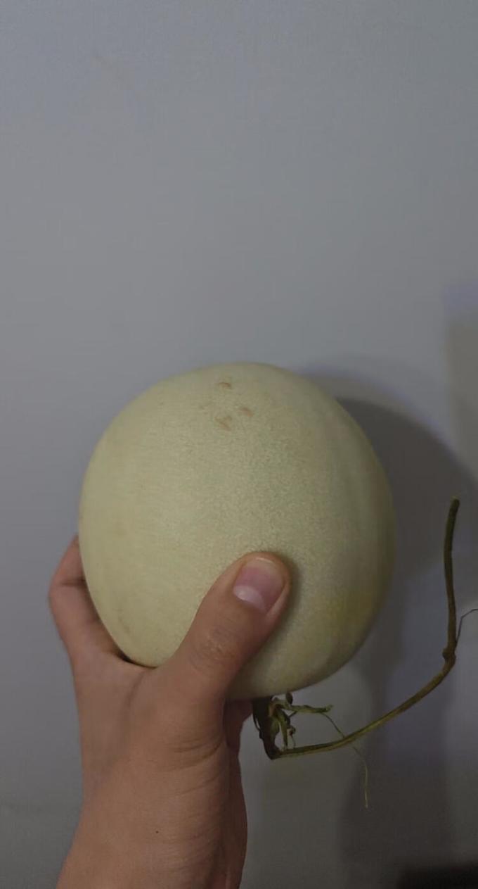 新鲜水果
