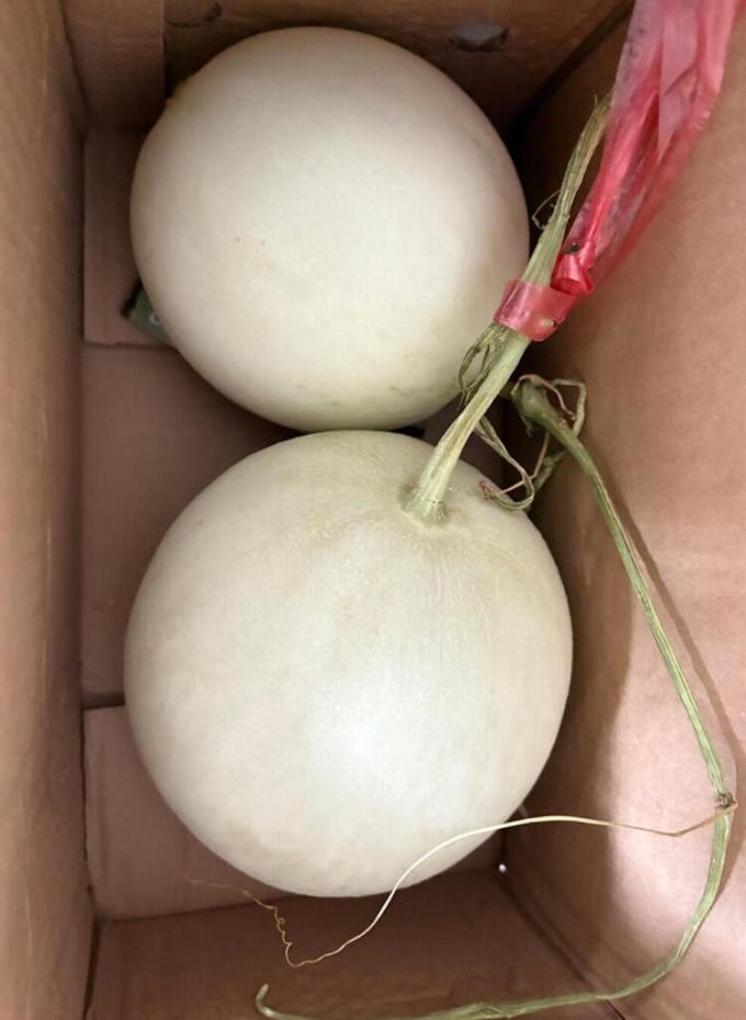 新鲜水果