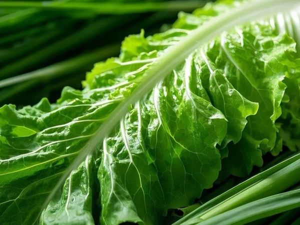 让食材保鲜的3个小妙招，99%的人都没用对！