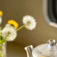 夏日养生茶：驱散暑湿困乏的自然良方 