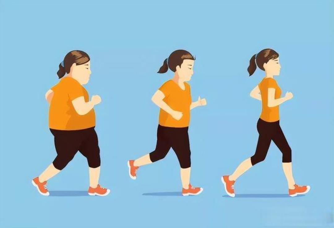 减脂运动三大选择:有氧、力量、HIIT优缺点全解析与科学搭配指南