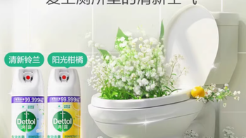 滴露马桶消毒杀菌喷雾454ML：守护你的家居健康