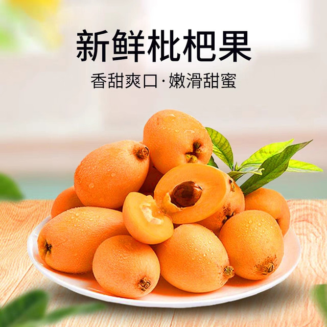 来吃枇杷啦