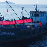 官参堂大连即食海参礼盒装