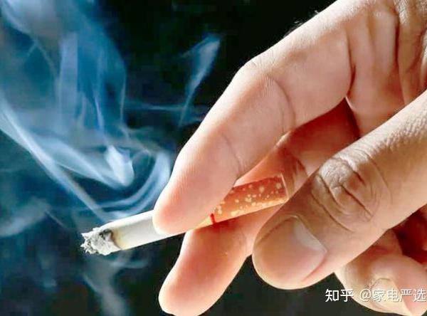 【2025年618推荐除二手空气净化器好物榜单】除二手烟空气净化器怎么选？除烟味空气净化器哪款值得买？小米、拾梧、IAM、美的等六大知名除二手烟空气净化器品牌哪款值得入手？看完闭眼选！