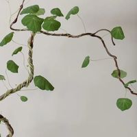 山乌龟被杭州小伙养成“盆景”，桩型超美，网友：还可以这么玩！