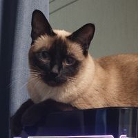 TK1装机