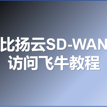 分享一个异地组网软件，比扬云SD-WAN，在飞牛上使用教程