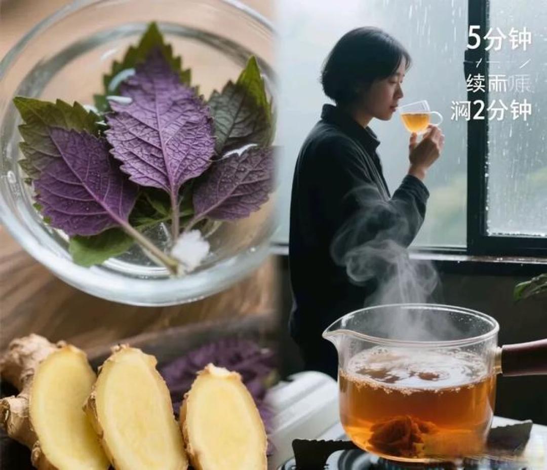 千年紫苏饮:东方草木智慧里的夏日清凉密码