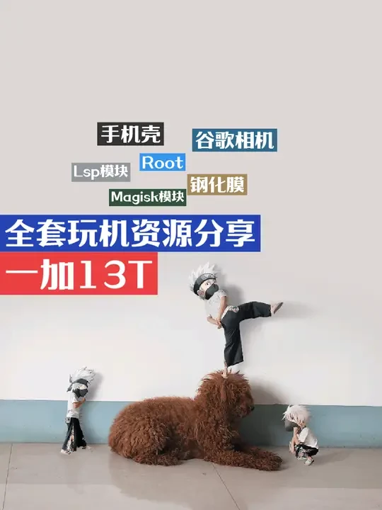 一加13T全套玩机资源分享：手机壳、钢化膜、R00t、模块、谷歌相机等#数码科技 #玩机技巧 #一加13t #一加 #oppo