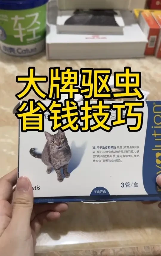 大牌驱虫怎么省钱 多猫家庭，单猫家庭全部概括#省钱技巧 #省钱#养猫 #猫咪省钱攻略