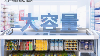 澳柯玛岛柜冰柜商用大容量展柜——冷冻保鲜的卓越之选