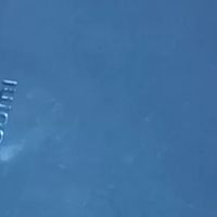 小米15：苹果手机的高性价比平替之选