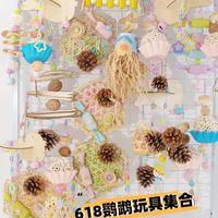 618鹦鹉玩具选购指南｜新手养鹦鹉必看