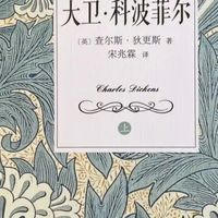 在《大卫·科波菲尔》中寻找生命的光与影