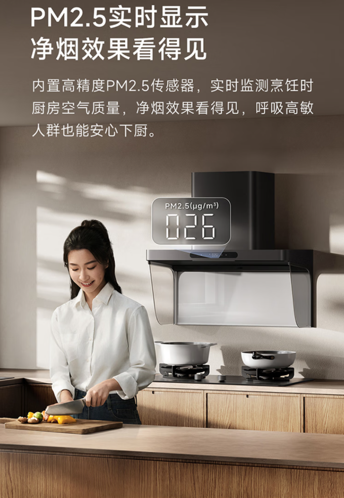 米家吸油烟机