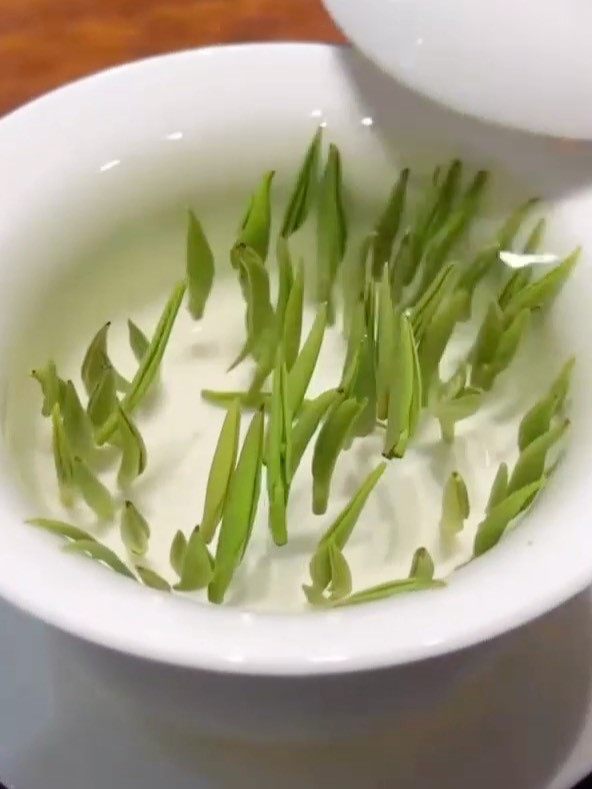 一饮惊鸿！雀舌茶萃化作杯中翡翠，鲜灵甘冽在舌尖流淌✨​
