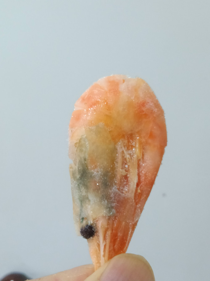 美加佳虾类