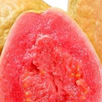 🍈【软糯暴击！璋玖牯红心芭乐の味觉奇遇】🍈🌟