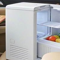 车载冰箱有必要买吗？怎么选？