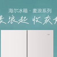 【收纳控狂喜】海尔505冰箱的高端分区，治好了我的收纳焦虑！