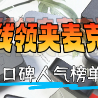 麦克风怎么选，无线麦克风哪个牌子好，十大入门级麦克风推荐