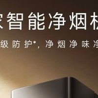 米家小米抽油烟机净烟机燃气灶MJ04CY套装：打造智能厨房健康生态