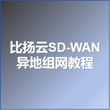 分享一个异地组网软件，比扬云SD-WAN，实现家里和公司网络连通