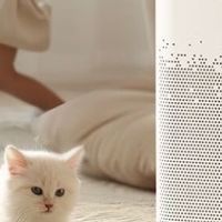 空气净化器怎么选？十大品牌排行榜测评解读，详细指南汇总