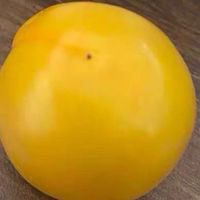 新疆轮台小白杏：甜蜜的自然馈赠