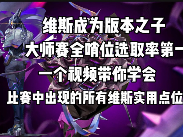 幽天气：“维斯成为版本之子，大师赛哨位选取率第一”一个视频带你学会大师赛职业同款维斯实用点位