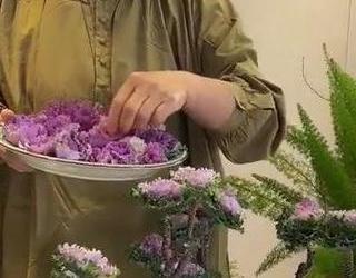 山东一女阿姨火了，“一棵菜养9年”，那叫一个壮观，忍不住晒晒