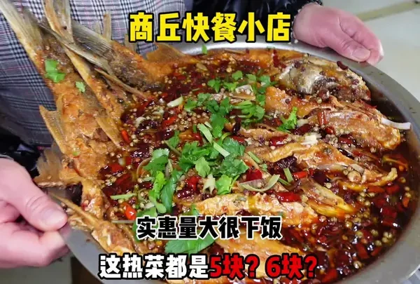 实惠且量大的快餐小店.5个菜才53块.鱼香肉丝.糖醋里脊.麻辣鱼都很好吃#家常菜 #商丘美食 #鱼香肉丝 #麻辣鱼#万物皆可种草搜