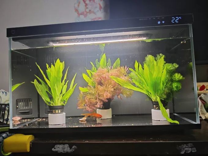 小米智能鱼缸/水族箱